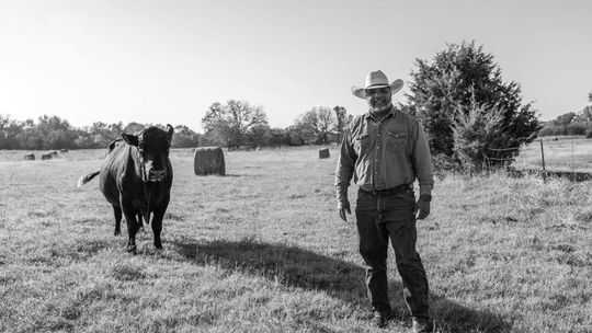 An inside look at the volatile cattle markets and the slow process of rebuilding