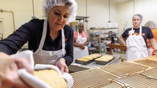 From Home Kitchens to Commercial Processors: