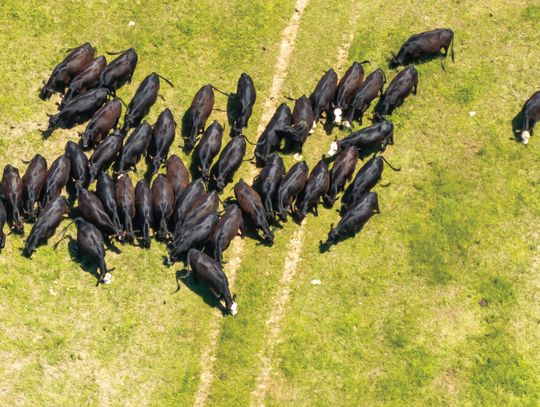 5 States Beef Conference returns with two-day event in October