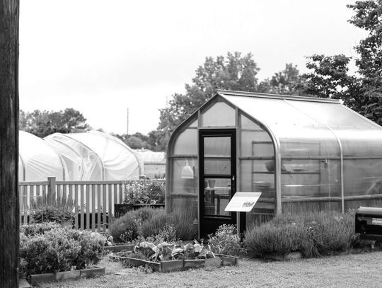 A greenhouse is not a storage shed