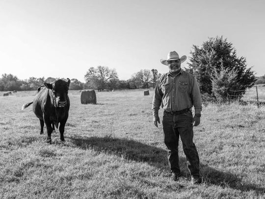 An inside look at the volatile cattle markets and the slow process of rebuilding