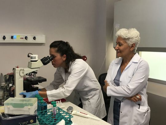 Driving sustainability through by-product innovation