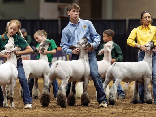 Elk City FFA had an awesome showing at the Tulsa State Fair