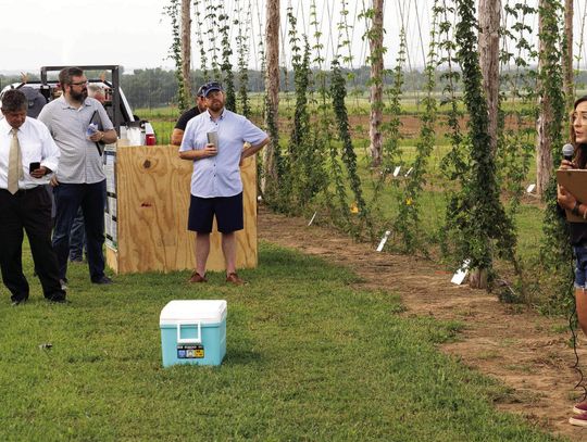 Explore hops and grapes production at July 19 field day