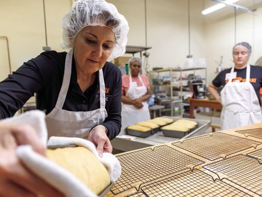 From Home Kitchens to Commercial Processors: