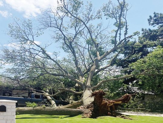 Local crews respond to storm damage