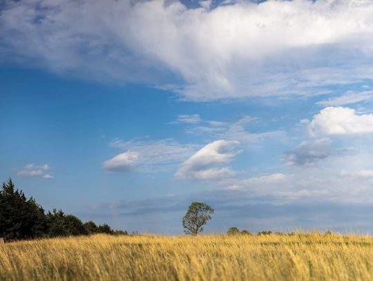 Mitigate “Dirty Dozen” dangers on your rangeland