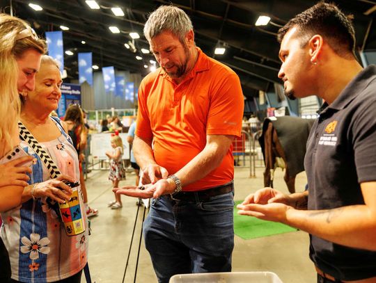 OSU entomologists work to save beetles important to human and livestock health