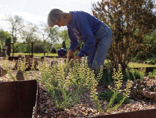 OSU Extension offers tips to make gardening easier for those with mobility challenges