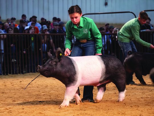 OSU Extension showcases spring 2025 success stories from across Oklahoma