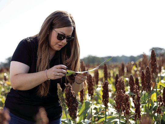 OSU’s Integrated Pest Management legacy lives on in new team