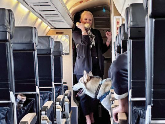 RetrievAir Launches Pet-Friendly Flights from Dallas