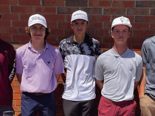 Sayre Golf makes it to regionals