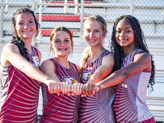 Sayre track