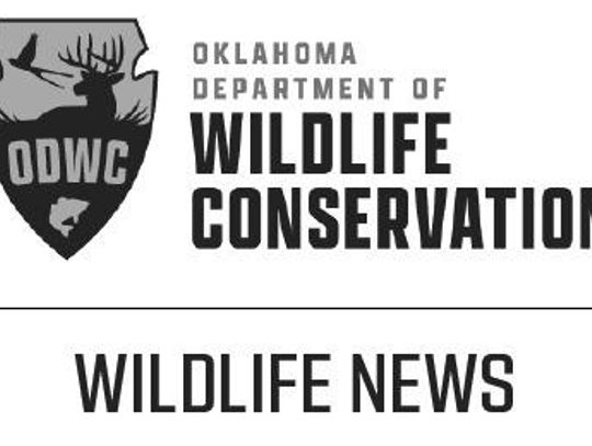 Wildlife License Modernization Act Signed by Governor