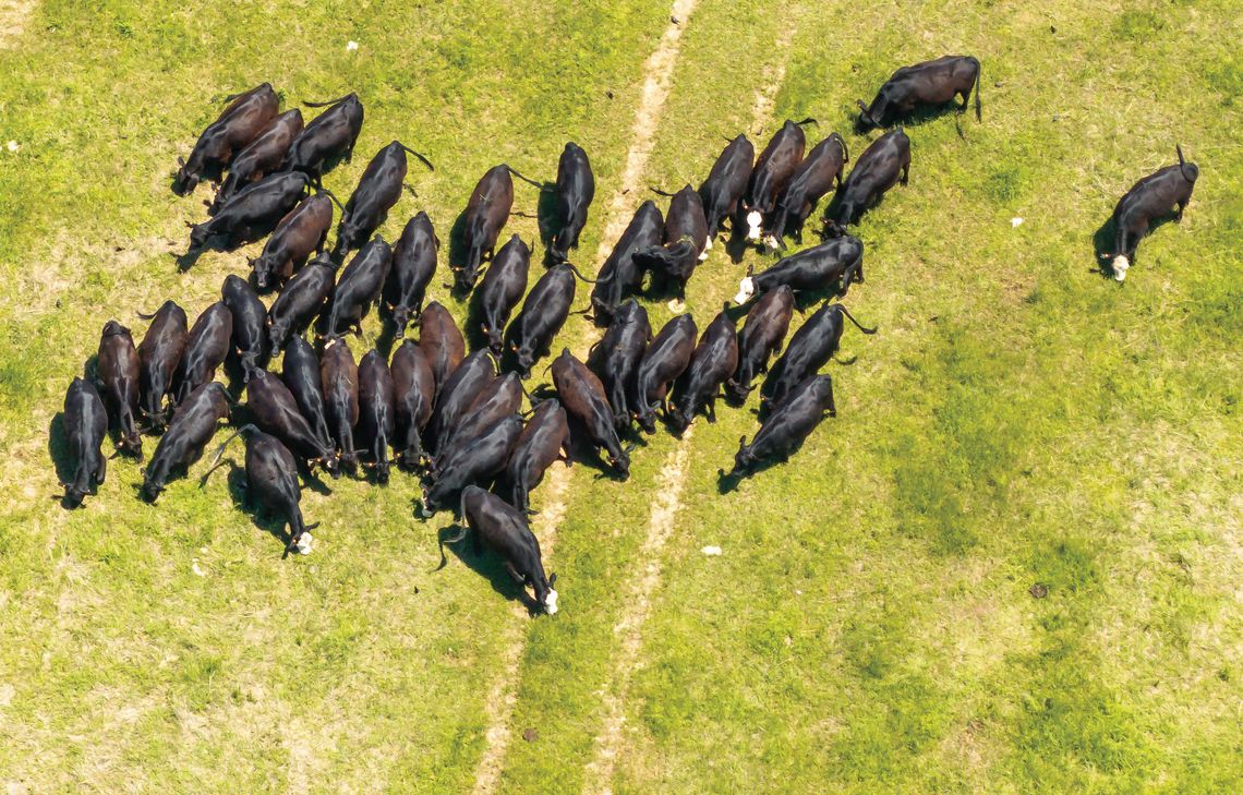 5 States Beef Conference returns with two-day event in October 5 States Beef Conference returns with two-day event in October