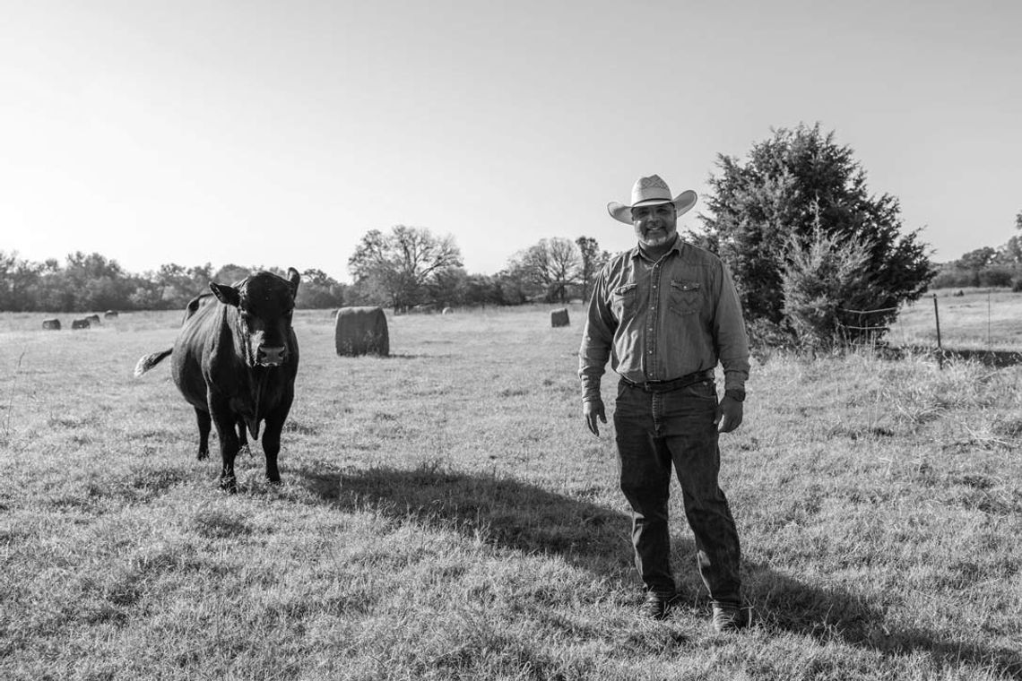 An inside look at the volatile cattle markets and the slow process of rebuilding