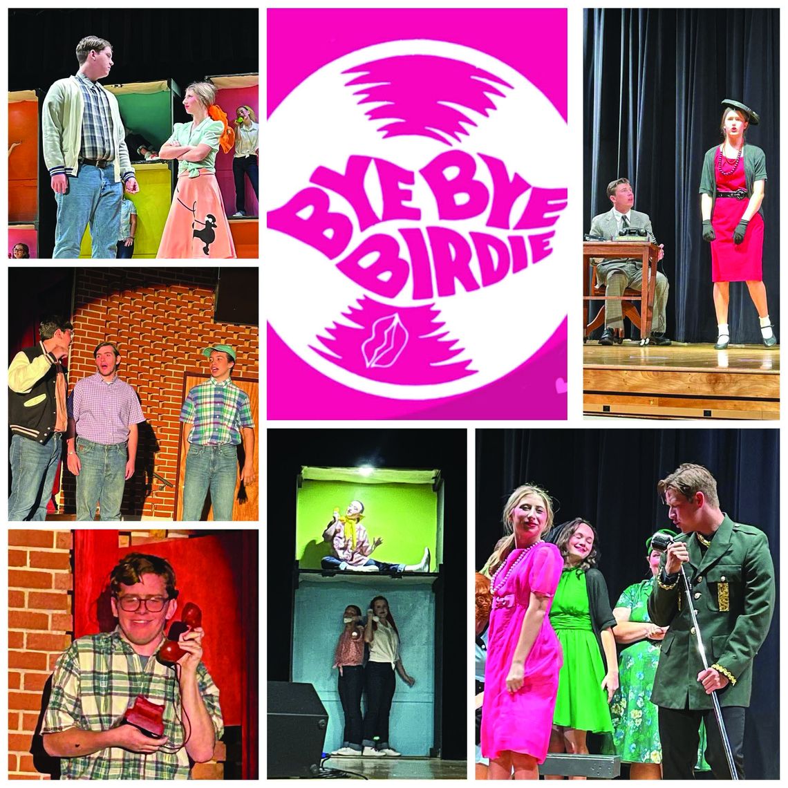 BYE BYE BIRDIE! BYE BYE BIRDIE!