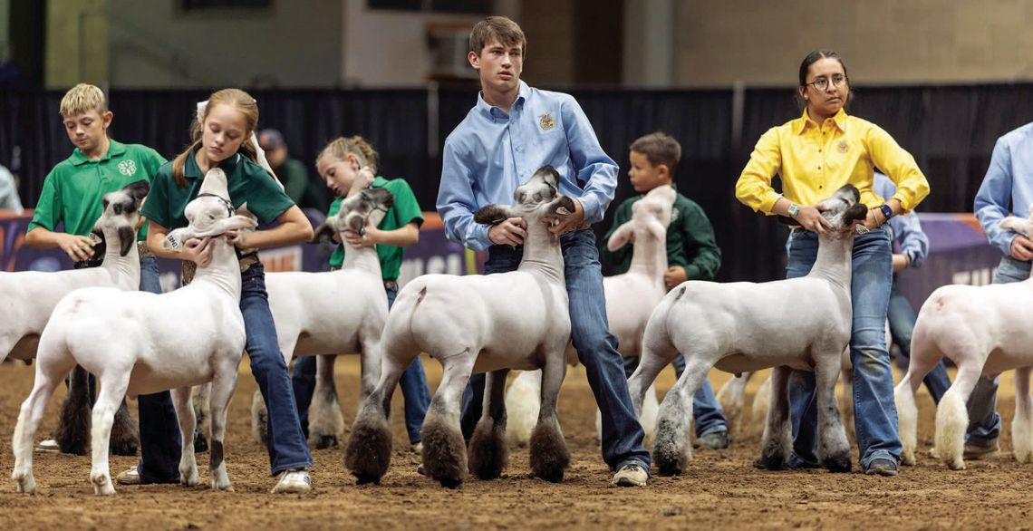 Elk City FFA had an awesome showing at the Tulsa State Fair
