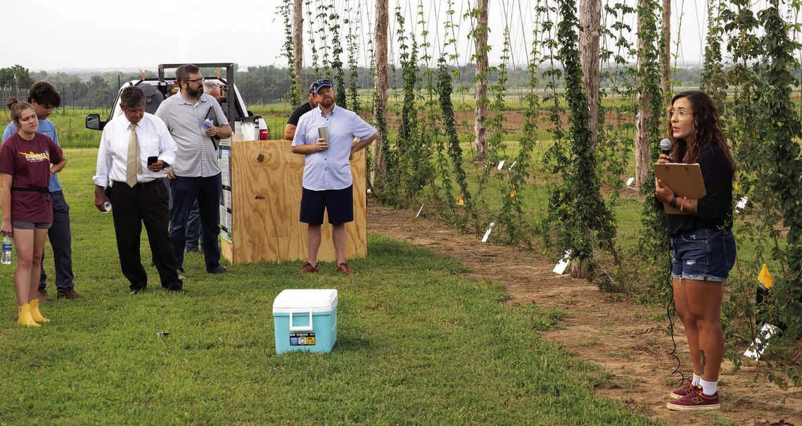 Explore hops and grapes production at July 19 field day