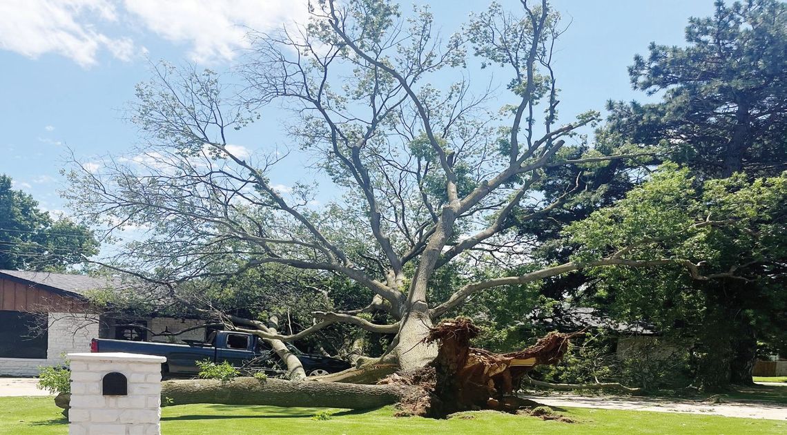 Local crews respond to storm damage