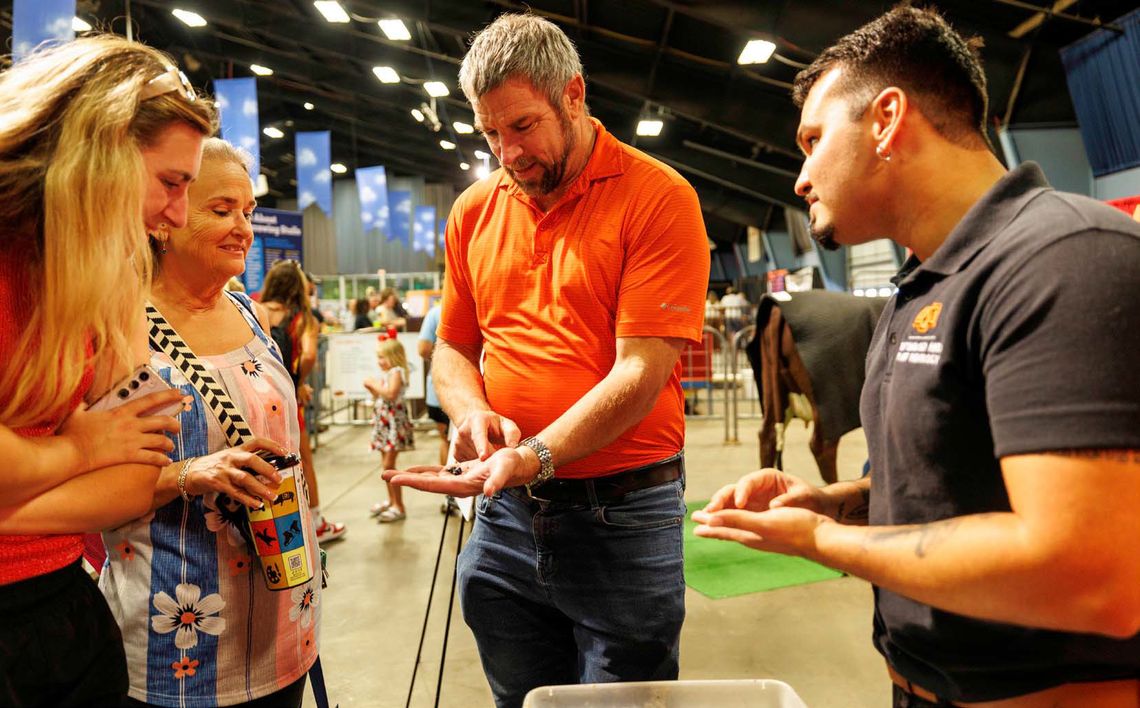 OSU entomologists work to save beetles important to human and livestock health