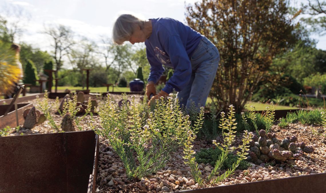 OSU Extension offers tips to make gardening easier for those with mobility challenges