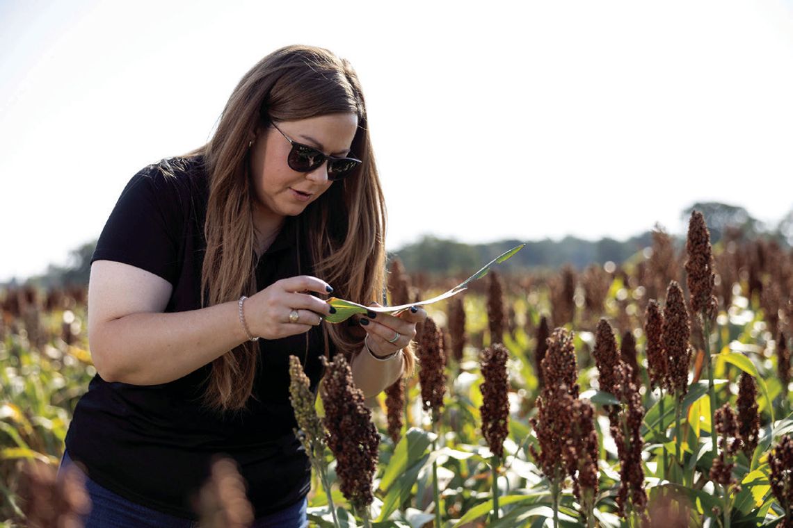 OSU’s Integrated Pest Management legacy lives on in new team