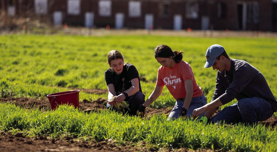 OSU Student Farm doubles acreage to serve Oklahoma food banks