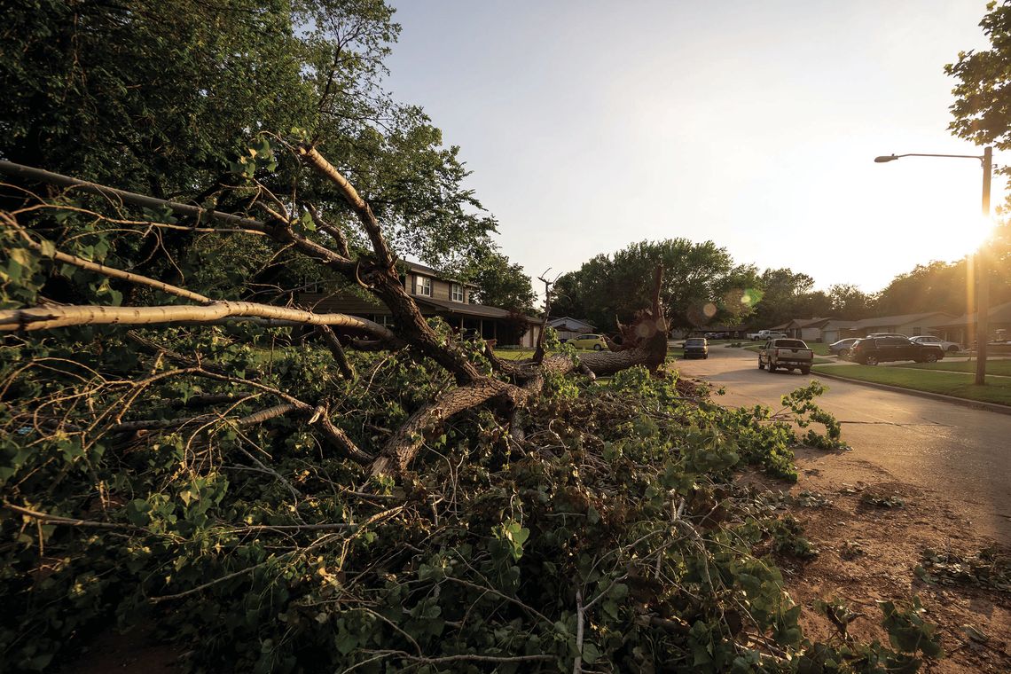 Who is responsible when a neighbor’s tree falls on my house?